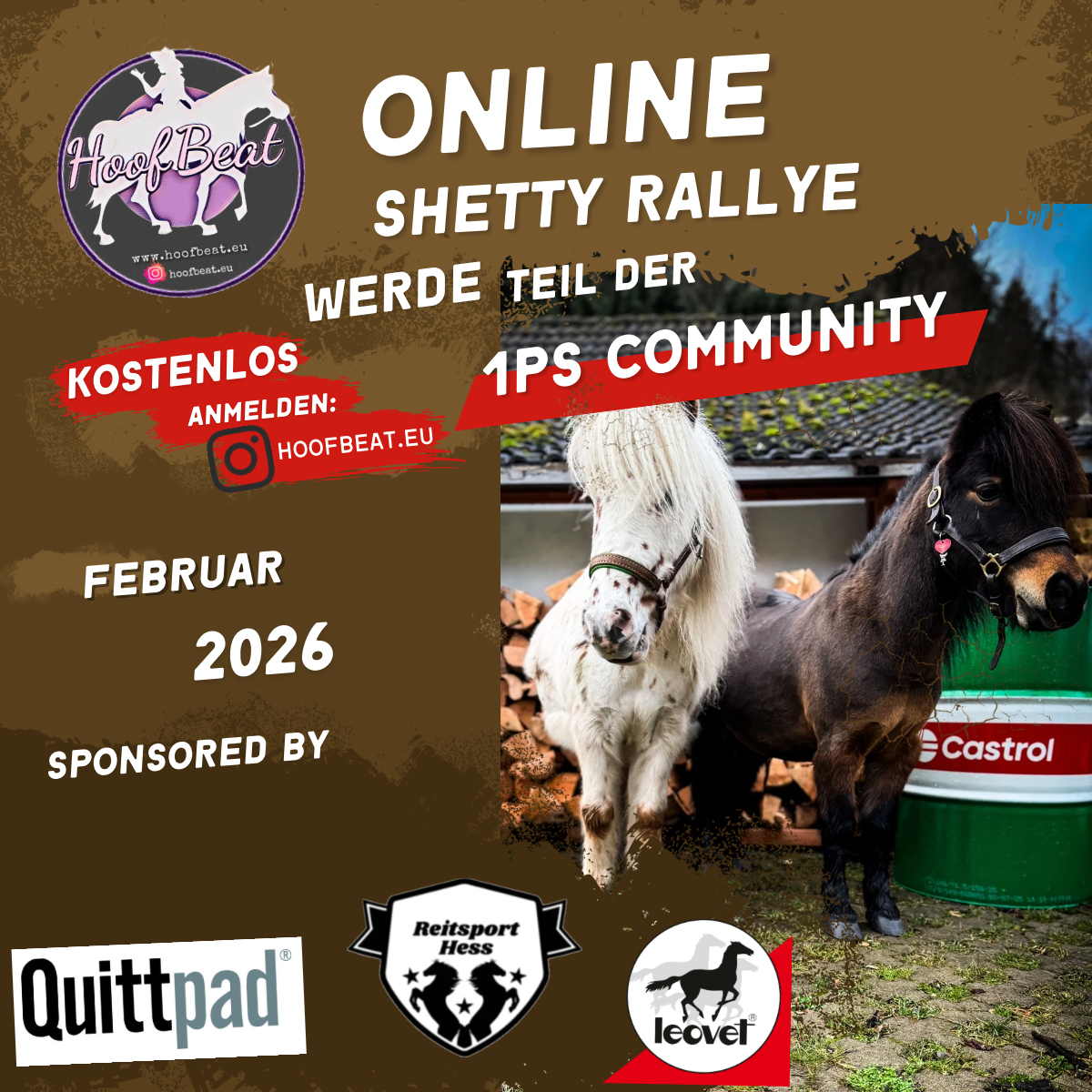 DIe Shetty Online Rallye