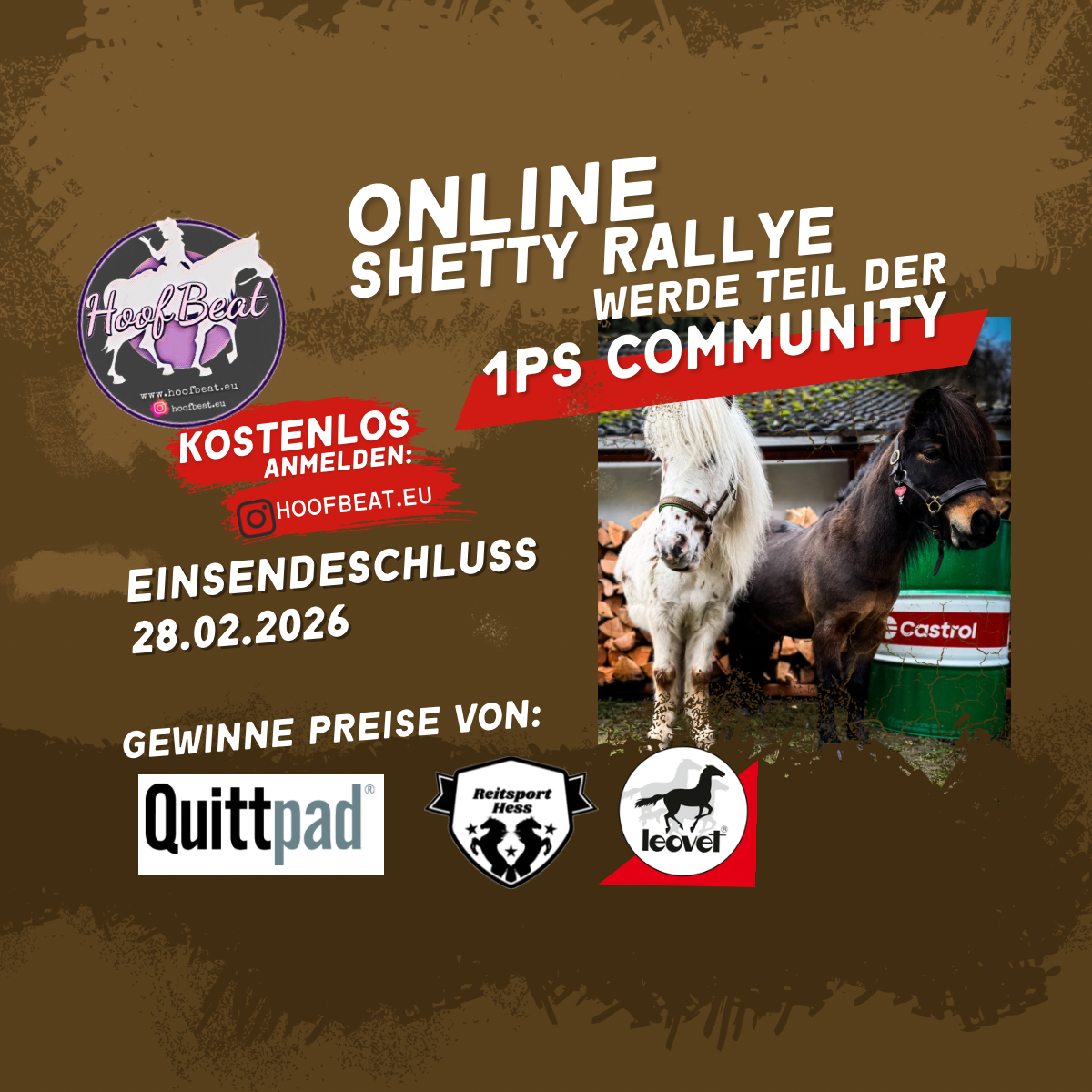 Online - Shetty Rallye