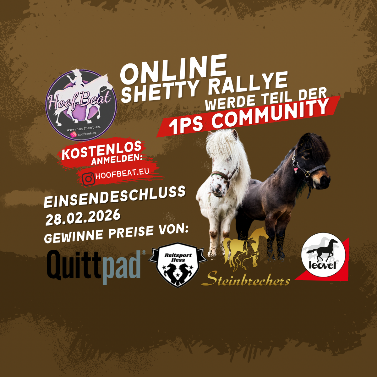 Online - Shetty Rallye