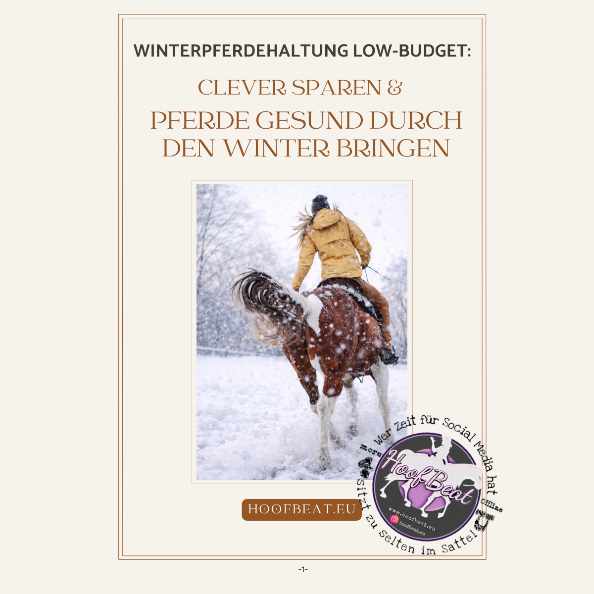 E*Book "Low Budget Winterhaltung für Pferde"