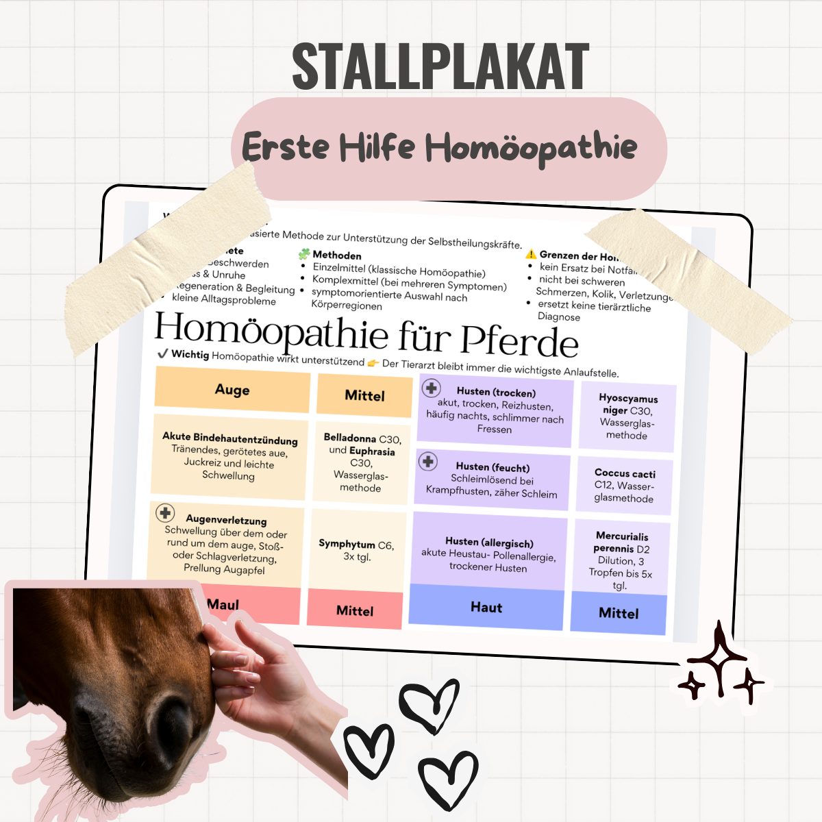 Stallplakat Homöopathie Pferde