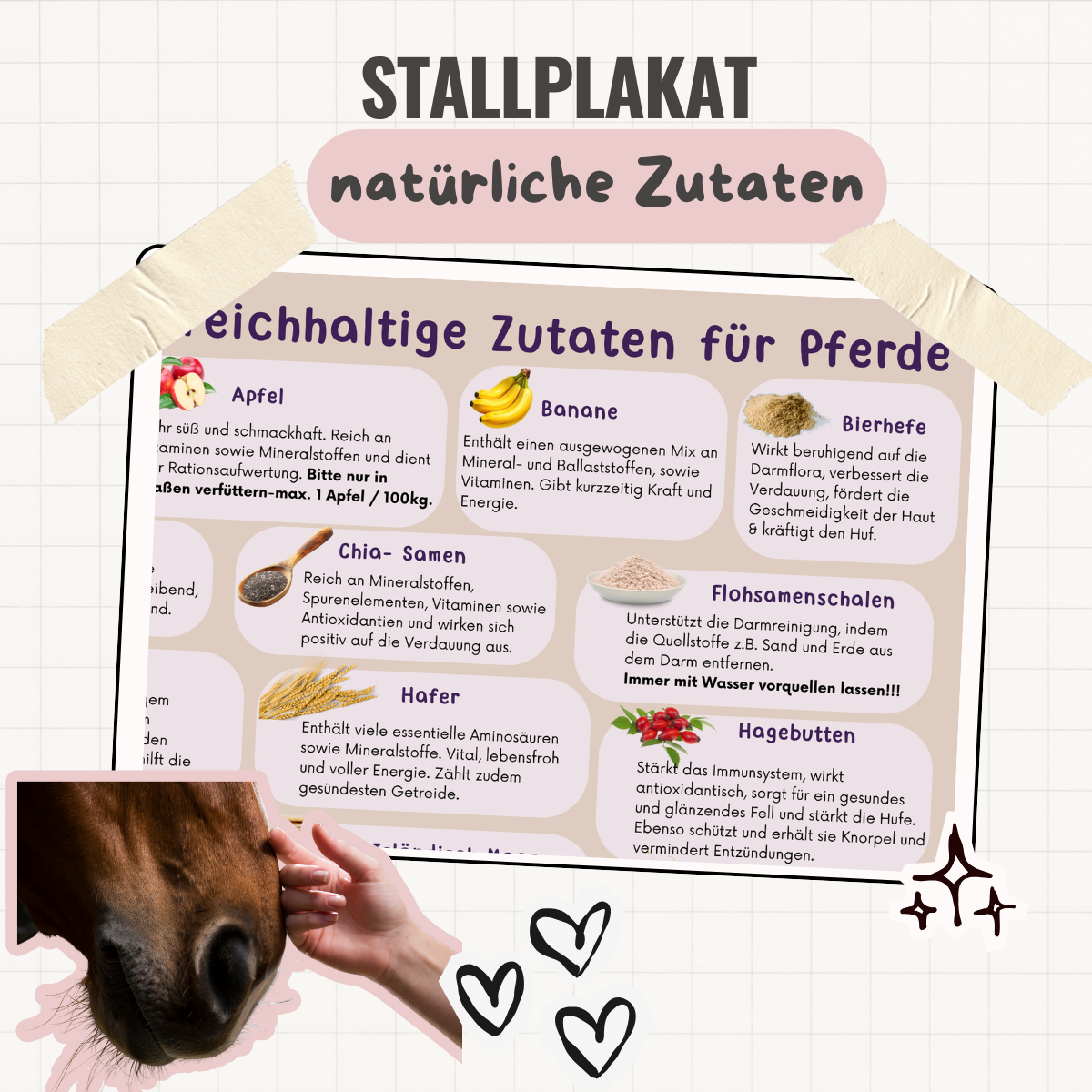 Stallplakat - natürliche Zutaten für Mineralstoffe, Spurenelemente & Vitamine