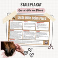 Stallplakat - Erste Hilfe am Pferd