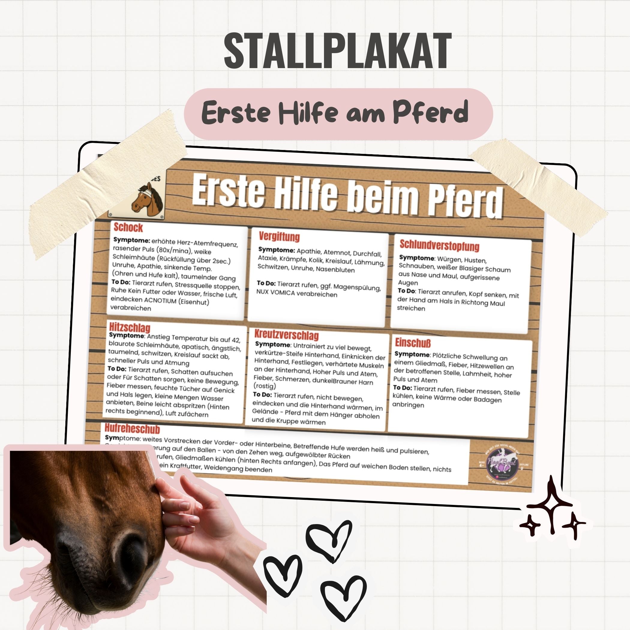 Stallplakat - Erste Hilfe am Pferd
